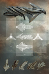 3d absurdres reference_sheet commentary concept_art cruiser_(eve_online) eve_online floating from_side highres military_vehicle multiple_views nebula no_humans original outdoors plastmassive realistic science_fiction sky space spacecraft star_(sky) starry_sky thrusters vehicle_focus
