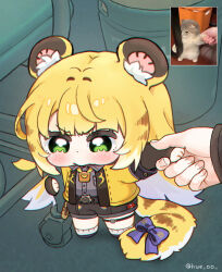 1girl 1other animal_ears black_gloves black_shorts blonde_hair blue_shoes blunt_bangs blush bow chibi collared_shirt commentary fingerless_gloves full_body gloves green_eyes grey_shirt highres hue_oo jacket ju_fufu photo-referenced pout purple_bow reference_inset shirt shoes short_hair short_sleeves shorts socks standing symbol-only_commentary tail tail_bow tail_ornament thigh_strap tiger_ears tiger_girl tiger_tail white_socks yellow_jacket zenless_zone_zero