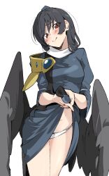1girl black_hair black_wings blue_dress blue_hat blush bow bow_panties breasts closed_mouth clothes_lift commentary_request dress dress_lift hat head_tilt highres iizunamaru_megumu long_hair long_sleeves looking_at_viewer low_wings medium_breasts panties red_eyes shot_(shot0598) shoulder_guard simple_background solo tokin_hat touhou underwear white_background white_panties wings