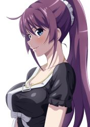 Rule 34 | 1girl, absurdres, bakemonogatari, black dress, blue eyes, blush, bow, breasts, cleavage, collarbone, dress, frilled sleeves, frills, hair ornament, hair scrunchie, heart, heart necklace, highres, impossible clothes, impossible dress, jewelry, kakukakusan, large breasts, long hair, looking at viewer, monogatari (series), necklace, official alternate costume, official alternate hairstyle, parted lips, ponytail, purple hair, scrunchie, senjougahara hitagi, short sleeves, sidelocks, simple background, smile, solo, upper body, very long hair, white background, white bow