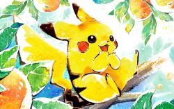 Rule 34 | :3, dot nose, food, fruit, full body, fumihata kishi, gen 1 pokemon, in tree, leaf, nintendo, no humans, open mouth, pikachu, pokemon, pokemon (creature), pokemon focus, pokemon tcg, second-party source, sitting, smile, solo, tree
