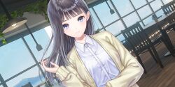 Rule 34 | 1girl, black hair, blue reflection (series), blue reflection sun, blue sky, blunt bangs, breasts, cafe, ceiling light, chair, closed mouth, day, dutch angle, game cg, hand up, hanging plant, highres, indoors, ivy, jacket, kishida mel, large breasts, light smile, long sleeves, looking at viewer, non-web source, official art, open clothes, open jacket, plant, potted plant, purple eyes, shirt, sky, solo, straight hair, table, white shirt, window, wooden floor, xiao meiqi, yellow jacket