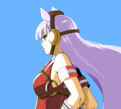 1girl absurdres animal_ears armband bare_shoulders blue_background breasts brown_hat commentary_request dress ear_covers from_side gold_ship_(umamusume) hat highres horse_ears horse_girl itsumeee3 long_hair medium_breasts parted_lips pillbox_hat purple_eyes purple_hair red_armband red_dress simple_background sleeveless sleeveless_dress solo umamusume upper_body