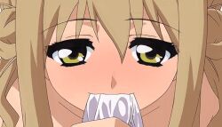 Rule 34 | 10s, 2010, animated, anime screenshot, blonde hair, brother and sister, fellatio, haha sange, koga marie, lowres, oral, siblings, step-siblings, stepbrother and stepsister, tagme, uncensored, yellow eyes