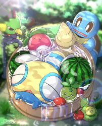 afloat bathing bird blurry bounsweet bright_pupils brown_eyes budew commentary_request day dunsparce faucet gen_1_pokemon gen_2_pokemon gen_4_pokemon gen_7_pokemon grass natu nintendo no_humans o_o oooise open_mouth outdoors pokemon pokemon_(creature) pokemon_focus signature smoliv squirtle water white_pupils