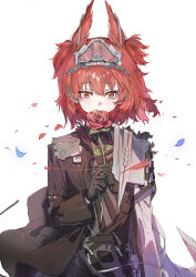 1girl absurdres arknights black_gloves black_jacket commentary_request covered_mouth fiammetta_(arknights) fiammetta_(judgment_day)_(arknights) flower gloves hair_between_eyes highres holding holding_flower jacket long_sleeves looking_at_viewer petals red_eyes red_flower red_hair red_rose rose sao7 simple_background solo white_background wide_sleeves