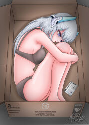 1girl absurdres blue_archive box breasts cardboard_box check_commentary commentary commentary_request highres in_box in_container long_hair millennium_science_school_logo noa_(blue_archive) open_mouth passport purple_eyes underwear user_vgvy5347 white_hair