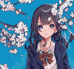 1girl asleep_onthebed ben-day_dots blue_background blue_eyes blue_jacket blunt_bangs bow bowtie brown_hair cherry_blossoms collared_shirt falling_petals hair_flowing_over highres jacket long_hair looking_at_viewer original petals pixel_art school_uniform screentones shirt solo upper_body white_shirt