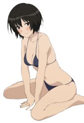 Rule 34 | 1girl, amagami, bikini, black bikini, black eyes, black hair, breasts, collarbone, highres, looking at viewer, medium breasts, nanasaki ai, short hair, shou937, simple background, sitting, smile, solo, swimsuit, wariza, white background
