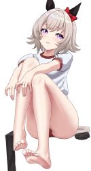 1girl animal_ears bare_legs barefoot black_thighhighs bow buruma curren_chan_(umamusume) ear_bow ear_covers eyelashes feet full_body grey_hair highres horse_ears horse_girl horse_tail knees_up legs looking_at_viewer medium_hair philo_324 purple_eyes red_bow red_buruma shirt short_sleeves simple_background sitting soles solo tail thighhighs thighs toenails toes tongue tongue_out umamusume unworn_thighhighs white_background white_shirt