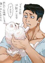 Rule 34 | 1boy, animal, black hair, blue eyes, commentary request, dog, furrowed brow, highres, holding, holding animal, holding dog, looking at animal, male focus, matsuda ryota, muscular, muscular male, pomeranian (dog), sanpaku, short hair, simple background, solo, speech bubble, tongue, tongue out, toshi densetsu kaitai center, translation request, upper body, white background, yochiyochi