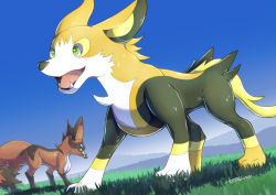boltund commentary_request day dog fangs from_below gen_8_pokemon grass green_eyes highres nintendo no_humans open_mouth outdoors pokemon pokemon_(creature) signature sky tanpakuroom thievul tongue