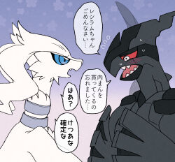animal_focus averting_eyes blue_background blue_eyes blue_sclera blush colored_sclera dragon embarrassed eye_contact fang flying_sweatdrops from_side gen_5_pokemon gradient_background highres japanese_text jewelry legendary_pokemon looking_at_another looking_down maki_(letusgomaki) neck_ring nervous nintendo no_humans open_mouth pokemon pokemon_(creature) profile red_sclera reshiram sharp_teeth speech_bubble standing sweat talking teeth translated upper_body white_eyes zekrom