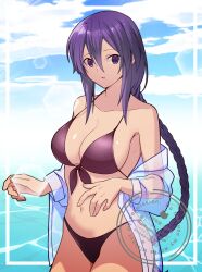 1girl bikini braid breasts cloud cloudy_sky highres hirakawa long_hair melty_blood navel purple_bikini purple_eyes purple_hair sion_eltnam_(type-moon) sion_eltnam_atlasia sky solo swimsuit tagme tsukihime