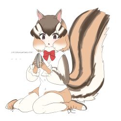 Rule 34 | 1girl, :&lt;, blush, boots, bow, bowtie, brown boots, brown eyes, brown gloves, brown hair, brown shorts, brown sleeves, chicha (chi cha rigbo), chipmunk ears, chipmunk girl, chipmunk tail, fur collar, gloves, hair between eyes, highres, kemono friends, long sleeves, multicolored hair, open mouth, puffy sleeves, red bow, red bowtie, seed, short hair, short shorts, shorts, siberian chipmunk (kemono friends), sidelocks, sitting, solo, sunflower seed, translation request, two-tone sleeves, vest, wariza, white fur, white hair, white sleeves, white vest