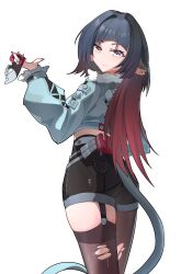 1girl a_maple absurdres animal_ears black_hair black_shorts cow fur-trimmed_jacket fur_trim garter_straps green_jacket grey_eyes high-waist_shorts highres holding holding_knife impossible_shorts jacket jane_doe_(zenless_zone_zero) knife long_hair looking_at_viewer mouse_ears mouse_girl mouse_tail multicolored_hair pantyhose shorts single_garter_strap single_leg_pantyhose smile tail thighhighs torn_clothes torn_pantyhose torn_thighhighs two-tone_hair zenless_zone_zero
