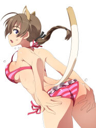 1girl ahoge animal_ears ass bikini blue_eyes blush braid braided_ponytail breasts brown_hair cat_ears cat_girl cat_tail hair_ribbon large_breasts long_hair looking_at_viewer looking_back lynette_bishop nanashino open_mouth pink_stripes ponytail ribbon side-tie_bikini_bottom simple_background solo strike_witches striped_bikini striped_clothes sweat swimsuit tail white_background world_witches_series