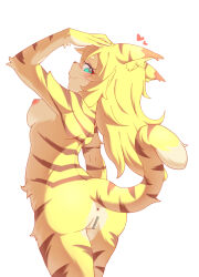 1girl animal_ear_fluff animal_ears anus aqua_eyes arched_back arm_at_side arm_up ass bar_censor blonde_hair blush breasts censored cleft_of_venus closed_eyes closed_mouth completely_nude cowboy_shot eyelashes flipped_hair from_behind from_side furry furry_female hand_on_own_head heart highres lalamedli long_hair looking_at_viewer looking_to_the_side medium_breasts mia_(world_flipper) nipples nude pussy pussy_juice seductive_smile short_eyebrows sideways_glance simple_background smile snout solo standing tail tail_raised tiger_ears tiger_girl tiger_stripes tiger_tail two-tone_fur white_background world_flipper