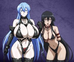 2girls ahegao akame_(akame_ga_kill!) akame_ga_kill! bdsm black_gloves black_hair blue_hair bondage bondage_outfit bound breasts cleavage collar elbow_gloves esdeath femdom gloves highres holding holding_whip huge_breasts latex latex_gloves latex_legwear leash long_hair looking_at_viewer medium_breasts multiple_girls open_mouth red_eyes red_hair shibari slave smile tongue tongue_out whip yuri yxyyxy