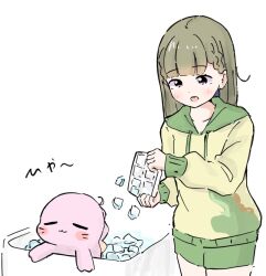 1girl :3 :d animal animalization anyoji_hime black_bow blush bow braid brown_hair center-flap_bangs closed_eyes closed_mouth collarbone commentary_request cowboy_shot green_hood green_shorts hair_bow hood hoodie ice ice_cube in_bathtub kachimachi_kosuzu kachimachi_kosuzu_(summer_loungewear) link!_like!_love_live! long_sleeves love_live! open_mouth pink_eyes seal_(animal) short_shorts shorts side_ahoge side_braids simple_background smile tazaki_masanobu teeth translation_request upper_teeth_only virtual_youtuber white_background yellow_hoodie