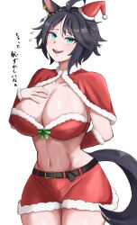 1girl ahoge alternate_costume animal_ears aqua_eyes belt black_belt black_hair blush breasts capelet cleavage collarbone commentary_request cowboy_shot cropped_shirt ear_ornament fuji_kiseki_(umamusume) fur-trimmed_capelet fur-trimmed_headwear fur-trimmed_shirt fur-trimmed_shorts fur_trim hair_between_eyes hand_on_own_chest hat highres horse_ears horse_girl horse_tail large_breasts looking_at_viewer midriff miya_nns35 multicolored_hair navel open_mouth pom_pom_(clothes) red_capelet red_hat red_shorts santa_hat shirt short_hair shorts simple_background sleeveless sleeveless_shirt smile solo standing streaked_hair tail teeth translated umamusume upper_teeth_only white_background white_hair