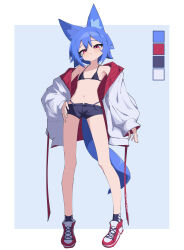 1girl absurdres animal_ear_fluff animal_ears ankle_socks armpits bare_shoulders bikini black_bikini black_shorts black_socks blue_background blue_hair border closed_mouth coat color_guide commentary flat_chest fox_ears fox_girl fox_tail full_body highleg highleg_bikini highres legs long_sleeves looking_at_viewer looking_down midriff miya_(myakuro) multicolored_coat multicolored_shoes myakuro narrowed_eyes navel off_shoulder open_clothes open_coat original outside_border raised_eyebrows red_coat red_eyes red_shoes shoes short_hair short_shorts shorts sleeves_past_wrists slit_pupils smirk sneakers socks solo standing swimsuit tail two-sided_fabric two-tone_coat two-tone_shoes white_border white_coat white_shoes white_socks