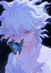 1boy ahoge blue_butterfly bug butterfly collarbone commentary_request danganronpa_(series) danganronpa_2:_goodbye_despair facing_down hair_between_eyes head highres insect komaeda_nagito male_focus medium_hair messy_hair orange_butterfly portrait shirt solo teeth white_hair white_shirt xiwang_xintu