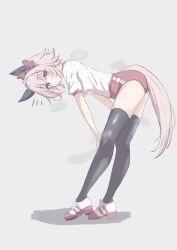 1girl animal_ears bent_over buruma commentary curren_chan_(umamusume) ear_covers full_body grey_hair gym_shirt hair_intakes highres horse_ears horse_girl horse_tail medium_hair notice_lines purple_eyes red_buruma shirt smell solo standing sweat tail thighhighs tofu_thunder tracen_training_uniform umamusume white_shirt
