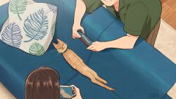 1boy 1girl brown_hair brown_pants cellphone commentary_request couch cushion from_above green_shirt holding holding_phone indoors kojiro337 on_couch orange_cat original pants phone shirt short_sleeves smartphone smile taking_picture wooden_floor