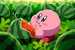 :i aruco_co blue_eyes blurry blurry_background blush blush_stickers closed_mouth commentary eating food food_on_face fruit full_body kirby kirby_(series) leaf nintendo no_humans plant symbol-only_commentary vines watermelon