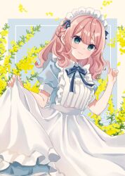 1girl :3 apron apron_hold blue_bow blue_dress blue_eyes border bow braid brown_border brown_hair closed_mouth collared_dress commentary_request dress floral_background flower frilled_apron frills grey_background hand_up highres index_finger_raised looking_at_viewer maid maid_apron maid_headdress original puffy_short_sleeves puffy_sleeves rino_cnc short_sleeves solo white_apron yellow_flower