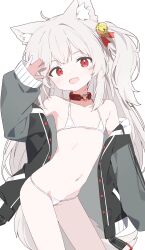 1girl absurdres animal_ear_fluff animal_ears bell bikini black_jacket cat_ears cat_girl collar cowboy_shot fang flat_chest hair_bell hair_ornament heart heart_o-ring highres jacket jingle_bell loli long_sleeves looking_at_viewer micro_bikini o-ring o-ring_collar one_side_up open_mouth original red_collar red_eyes simple_background skin_fang solo string_bikini swimsuit urotsuki_(ku9625) white_background white_bikini