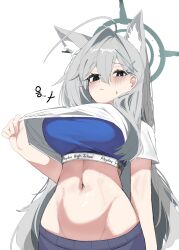 Rule 34 | absurdres, animal ear fluff, animal ears, breasts, broken halo, clothes lift, crop top, cross, cross hair ornament, dark halo, extra ears, hair ornament, halo, highres, inverted cross, large breasts, mismatched pupils, redfox han, shiroko (blue archive), shiroko terror (blue archive), shirt lift, stomach, wolf ears