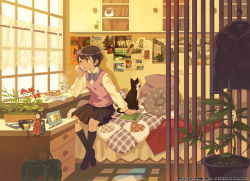 00s 1girl bed bedroom bf._(sogogiching) brown_eyes brown_hair cameo camera cat cup day eating eureka_seven eureka_seven_(series) female_focus gulliver_(eureka_seven) head_rest indoors morning original photo_(object) pillow plant potted_plant room roomscape school_uniform serafuku short_hair sitting slice_of_life solo yawning yellow_theme