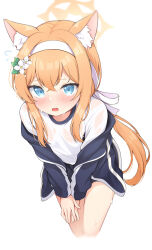 1girl absurdres animal_ear_fluff animal_ears blue_archive blue_eyes blush commentary_request cropped_legs flower flying_sweatdrops hair_flower hair_ornament hairband halo highres jacket leaning_forward long_hair looking_at_viewer maccha mari_(blue_archive) mari_(track)_(blue_archive) official_alternate_costume orange_hair see-through_clothes simple_background solo sweat very_long_hair white_background white_hairband