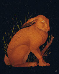 animal animal_focus black_background bright_pupils brown_fur brown_rabbit commentary dappermouth ears_back english_commentary flower full_body glaring grass highres looking_at_viewer night night_sky no_humans no_sclera original outdoors plant rabbit realistic signature sky star_(sky) starry_sky stick string string_around_wrist surreal tied_to_stake whiskers white_pupils yellow_eyes yellow_flower