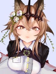 1girl animal_ear_fluff animal_ears aoe_(tiranporan) arknights breasts brown_hair closed_mouth collared_shirt commentary_request crossed_bangs flower grey_background hair_between_eyes hair_flower hair_ornament highres light_smile looking_at_viewer medium_breasts partial_commentary rose shirt short_hair simple_background solo upper_body vendela_(arknights) white_flower white_rose white_shirt yellow_eyes