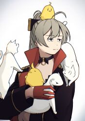 1girl ahoge aiguillette animal animal_on_head animal_on_shoulder azur_lane baby_animal bird bird_on_head black_choker black_jacket cat chick choker closed_mouth gloves grey_hair hair_between_eyes half_gloves hatski.sin high_collar high_ponytail highres holding holding_animal jacket jean_bart_(azur_lane) long_hair long_sleeves manjuu_(azur_lane) o-ring o-ring_choker on_head ponytail red_gloves simple_background solo too_many upper_body white_background white_cat