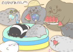 animal_focus elephant_seal food fruit hand_fan harp_seal hat multiple_others nobinobi_azarashi original paper_fan pool ramune seal_(animal) smile sun_hat sunglasses sweatdrop uchiwa watermelon