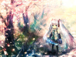 aqua_hair blue_eyes cherry_blossoms detached_sleeves from_above hatsune_miku long_hair looking_up microphone multicolored_hair necktie onineko petals pink_hair solo standing thighhighs twintails vocaloid white_hair