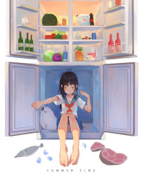 1girl absurdres barefoot black_hair blunt_bangs bottle collarbone feet female_focus fish food fruit green_eyes highres hot in_container in_refrigerator long_hair long_toes meat navel orange_hair original panties pineapple pleated_skirt refrigerator school_uniform seal_(animal) serafuku short_sleeves shrimp_cc simple_background sitting skirt solo striped_clothes striped_panties summer sweat toes underwear watermelon white_background