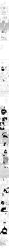 10s 2boys absurdres bad_id child comic deino_(pokemon) eelektrik gen_5_pokemon ghetsis_(pokemon) greyscale grunt highres incredibly_absurdres long_image looking_at_viewer monochrome multiple_boys n_(pokemon) nintendo pokemon pokemon_(creature) pokemon_bw red_eyes smile tall_image team_plasma team_plasma_grunt tomare_(akashingou) translation_request yamask