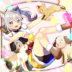 1girl :d animal animal_ear_fluff animal_ears ass bike_shorts black_shorts blue_eyes boots breasts brown_boots cat character_request check_character commentary_request commission diagonal-striped_background dog fang fur-trimmed_boots fur-trimmed_skirt fur_trim grey_hair hair_between_eyes heterochromia indie_virtual_youtuber inumata_shippo knees_together_feet_apart kou_hiyoyo long_hair medium_breasts open_mouth ponytail purple_eyes shoe_soles shorts shorts_under_skirt skeb_commission skirt smile solo striped_background virtual_youtuber yellow_skirt