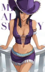 1girl breasts cowboy_hat hat large_breasts long_hair nico_robin one_piece