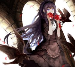 10s 1girl akemi_homura akemi_homura_(black_dress) bad_id bad_pixiv_id bird black_hair crow dress flower funeral_dress hairband highres long_hair looking_at_viewer mahou_shoujo_madoka_magica mahou_shoujo_madoka_magica:_hangyaku_no_monogatari mchi petals purple_eyes raven spider_lily spoilers very_long_hair