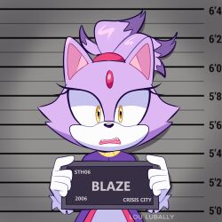 1girl animal_ears animal_nose artist_name barbie_(franchise) barbie_(live_action) barbie_mugshot_(meme) blaze_the_cat cat_ears cat_girl cat_tail character_name commentary english_commentary eyelashes fang fangs forehead_jewel fur-trimmed_sleeves fur_trim furry furry_female gem gloves hands_up highres holding holding_sign jacket long_sleeves looking_at_viewer lou_lubally meme mugshot open_mouth pants parody pink_gemstone purple_fur purple_jacket shadow sign solo sonic_(series) standing tail teeth topknot watermark white_gloves white_pants