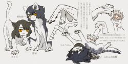 Rule 34 | 1boy, 1girl, blue fur, blue hair, body fur, brown hair, cat girl, chest tuft, dog boy, expressionless, isaki (shimesaba), jinmenken, leaning, lying, monster boy, monster girl, on back, orange eyes, original, simple background, sitting, smile, solo, sphinx, two-tone fur, white background, white fur, white tail, wolf boy
