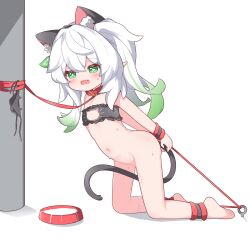 1girl absurdres animal_ears bowl cat_cutout cat_ears cat_lingerie cat_tail clothing_cutout fake_tail genshin_impact gradient_hair green_eyes green_hair highres kneeling leash loli long_hair meme_attire multicolored_hair nahida_(genshin_impact) open_mouth pet_bowl pointy_ears shirousagi_(user_erwx7425) solo symbol-shaped_pupils tail underwear white_hair