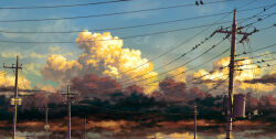 absurdres bird bird_on_power_lines blue_sky cloud cloudy_sky commentary_request cumulonimbus_cloud highres karasu_(hageabura-jr) no_humans original outdoors power_lines scenery sky too_many too_many_birds transformer utility_pole