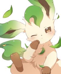 blush brown_eyes chi_z_z_z closed_mouth commentary_request gen_4_pokemon highres leaf leafeon looking_at_viewer nintendo no_humans one_eye_closed pokemon simple_background solo white_background